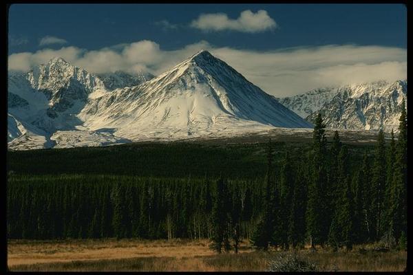 Ерганат Аккузинов