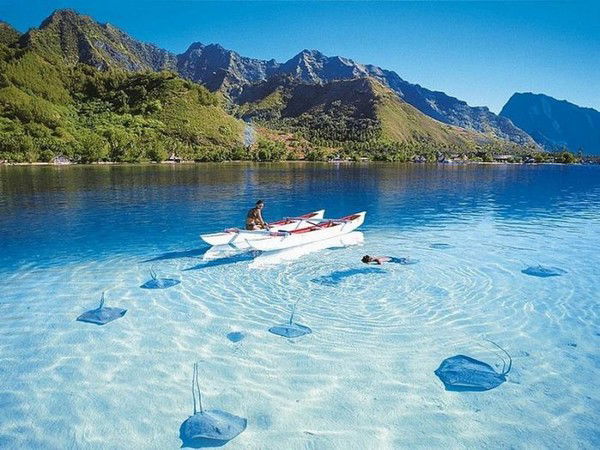 Александр Попов