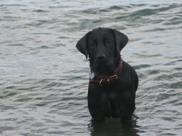 Татьяна Прудякова