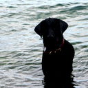 Татьяна Прудякова