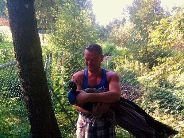 Андрей Ильин