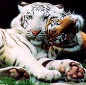 Ольга Пугина