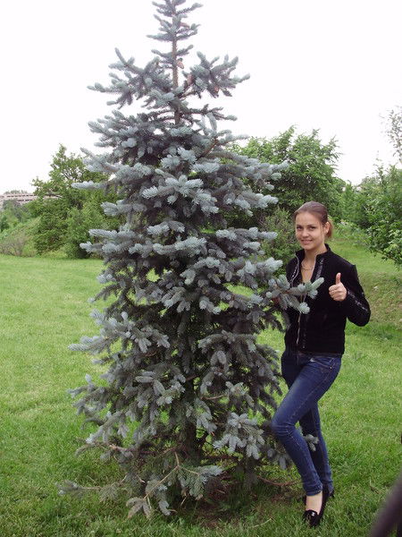 Наташа Молодых