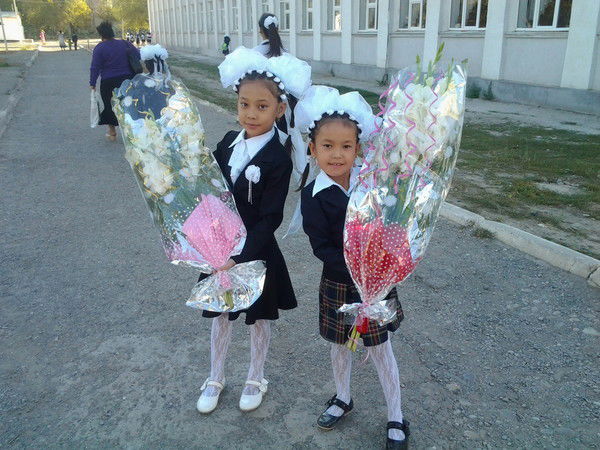 Ханифа Каусар