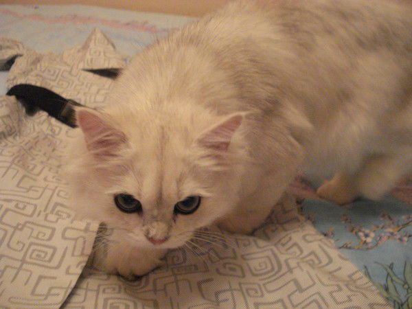 Наталия Данилина