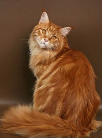 Екатерина Калугина