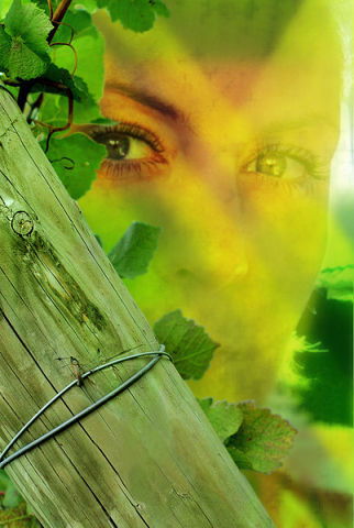 Наталья Чикалёва