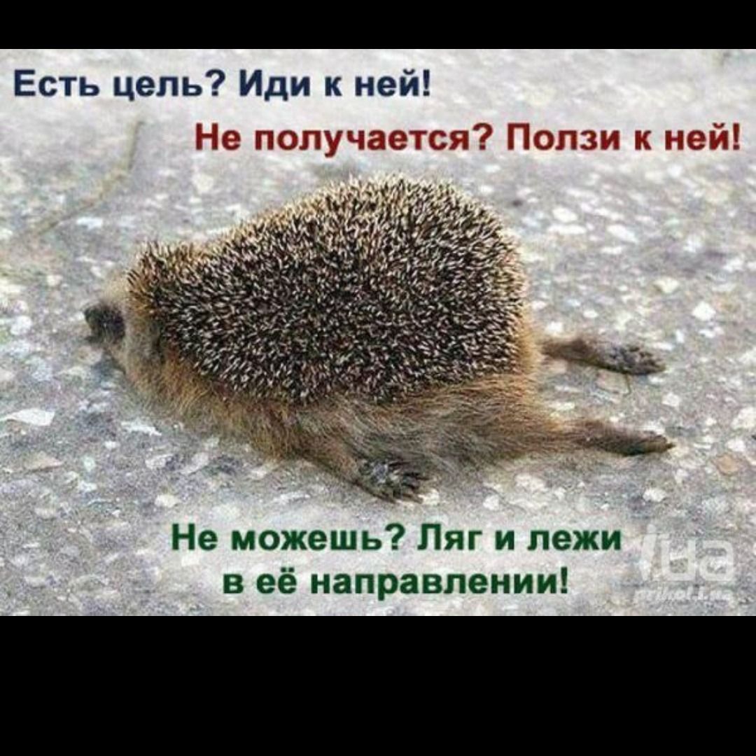 Наталья Пивоварова