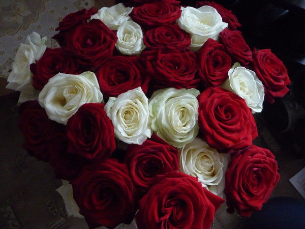 Светлана Домкина