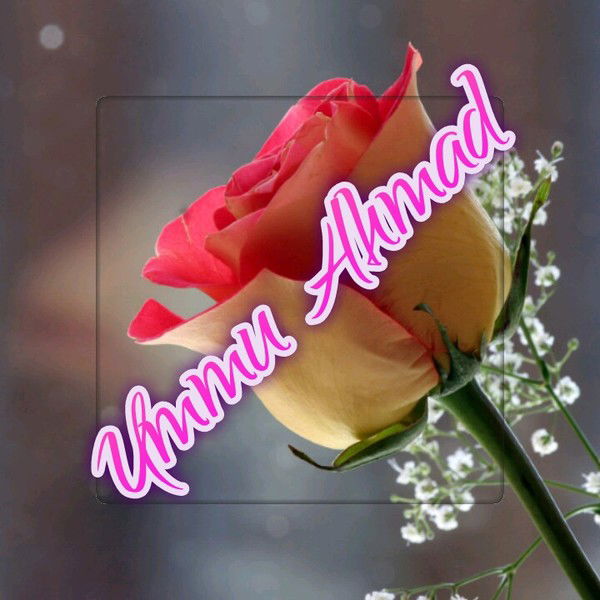 Люблю Абу Ахмада