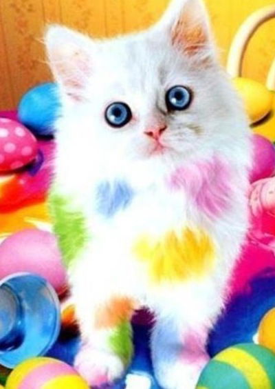 Анастасия Булдакова