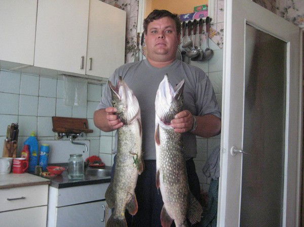 Алексей Виноградский