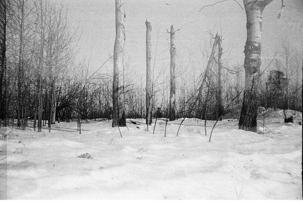 Владимир В.