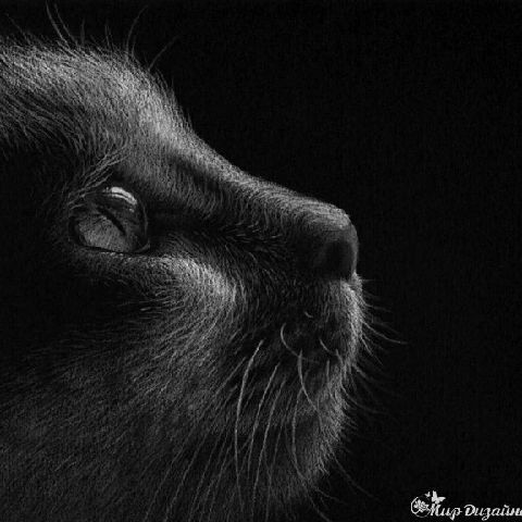 Даша Воскресенское