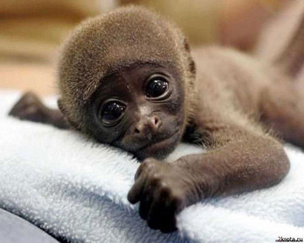 Екатерина ********