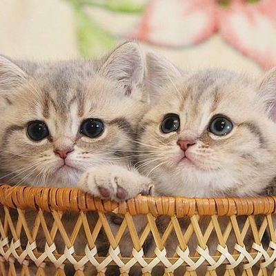 Алина Закизянова