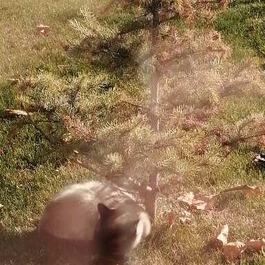 Татьяна Копылова