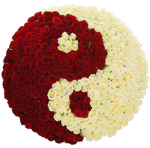 Елена Суханова