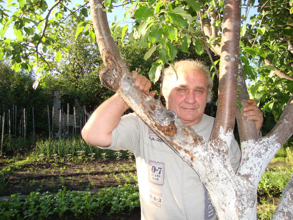 Виктор Барабаш