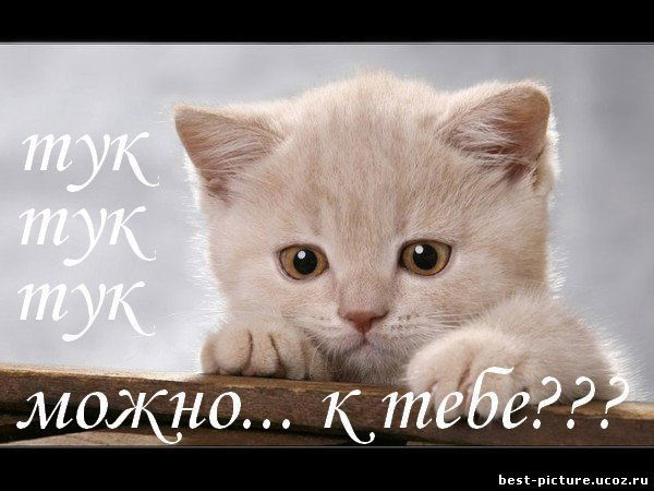 Наталья *******