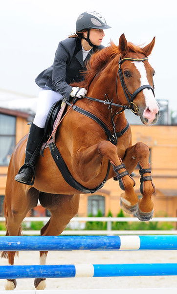 Екатерина Копылова