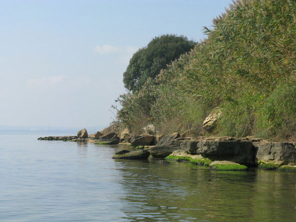 Федор Архипов