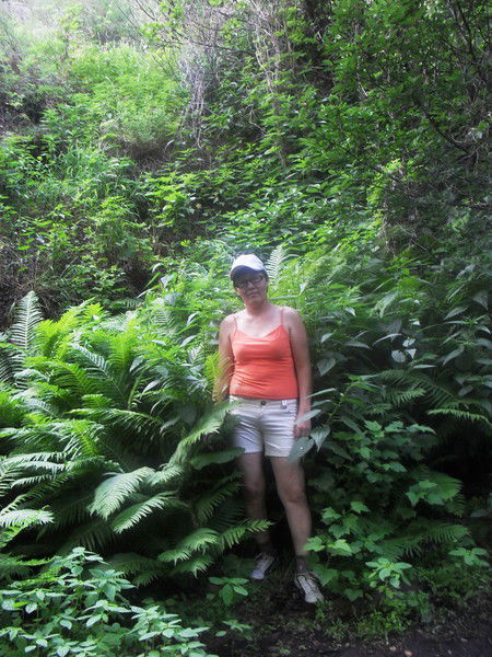 Раушан Омаржанова