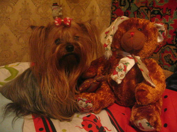 Елена Орехова