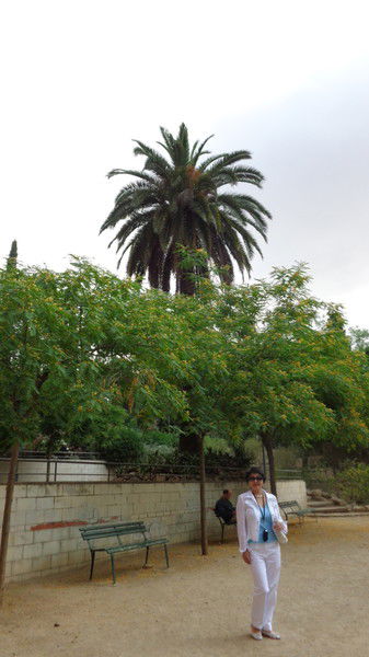 Шинар Умбетова