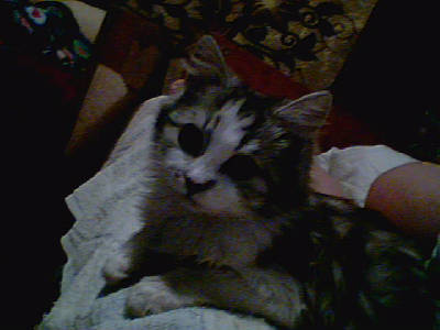 Валентина Назарова