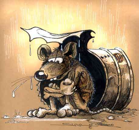 Взрослый Малыш