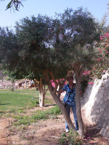 Тамара Каганер