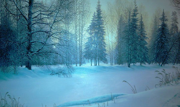 Павел Плешаков