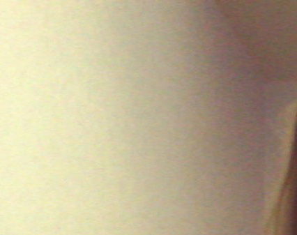 Ольга Дружинина