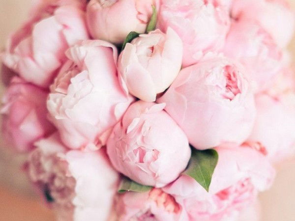 Екатерина J