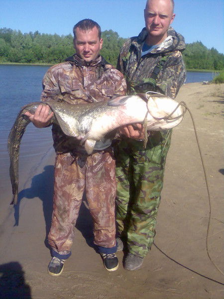 Максим Бахлычев