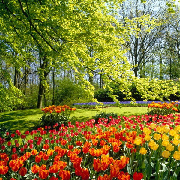 Оля Казакова