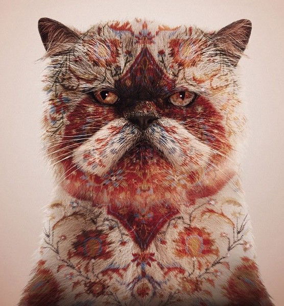 Александр Метла