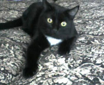 Анна Бородина