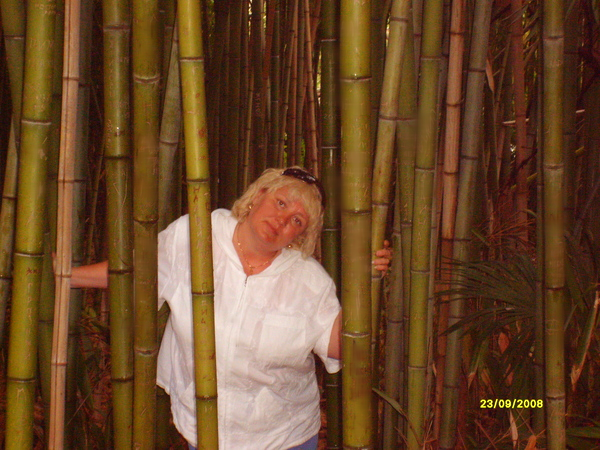 Анжела Сердюк