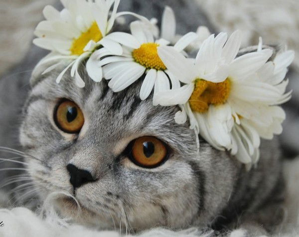 Вселенная .