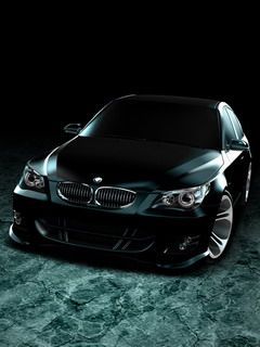 Денис Николаев