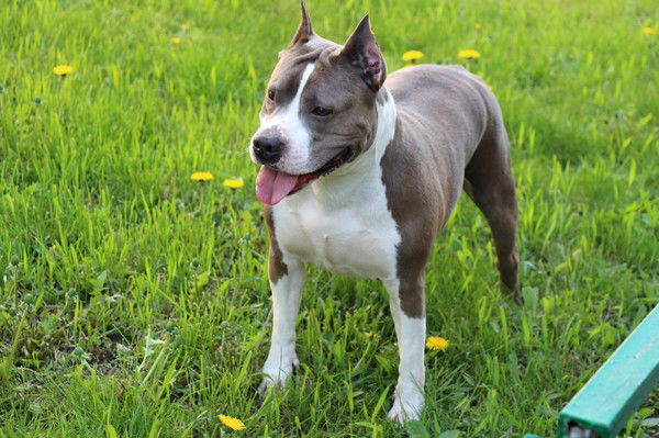 Светлана Филатова