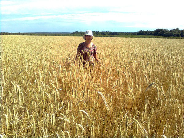 Зимфира Султанова