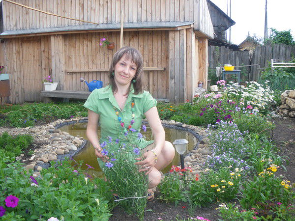 Елена Стахеева