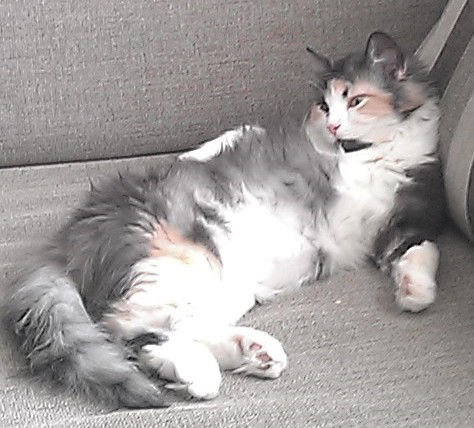 Наталья Наталья