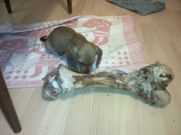 Григорий Чернов