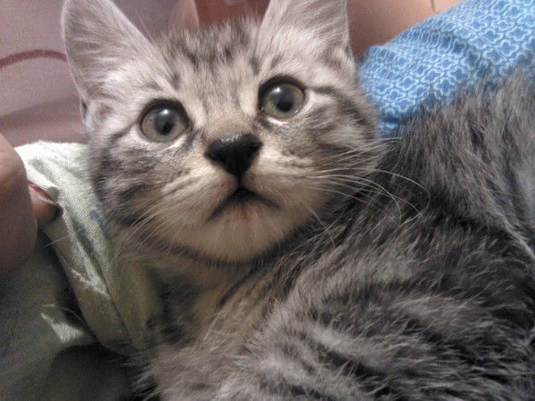 Сергей Зайцев