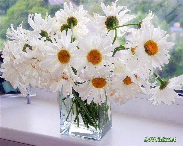 Тамара-Наташа Юракова