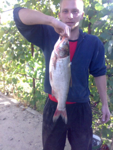 Сергей Токмаков